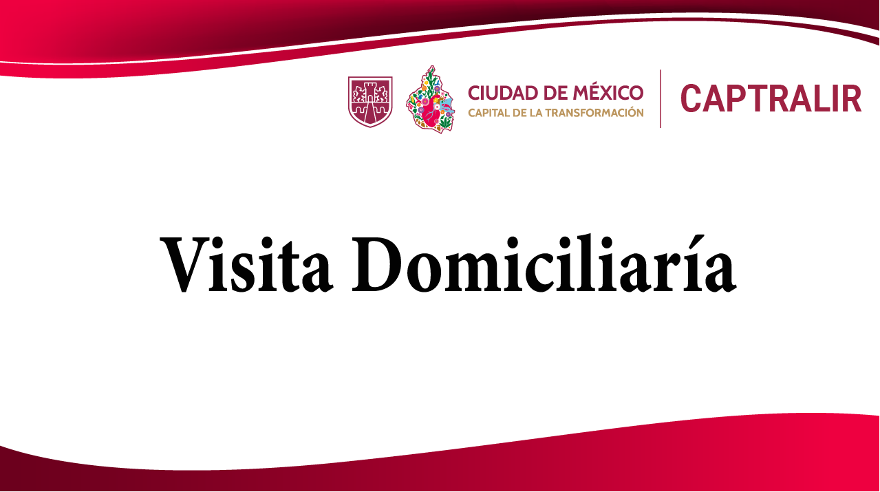 visita domiciliaria_Mesa de trabajo 1.png