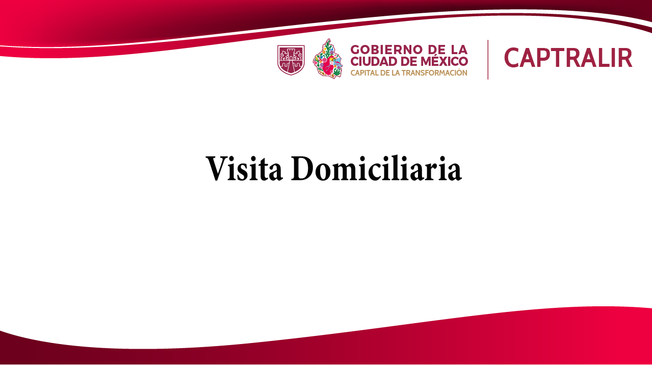 Visita Domiciliaria_Mesa de trabajo 1.png
