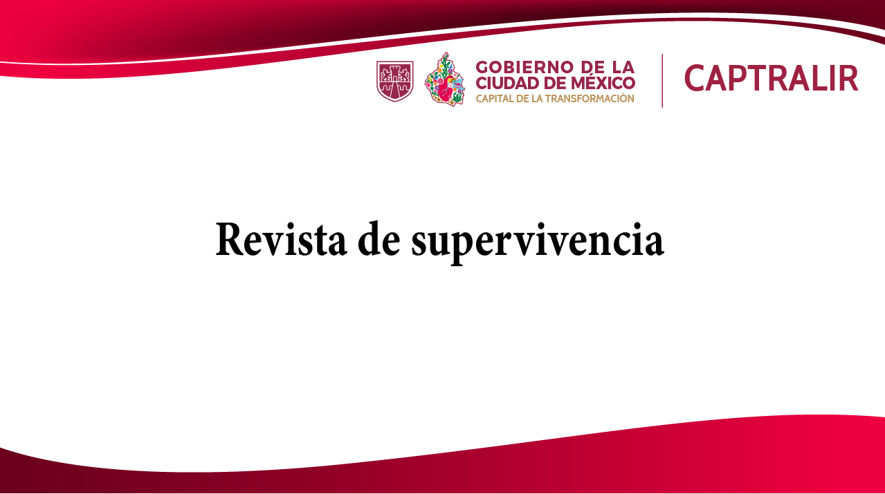Revista de supervivencia_Mesa de trabajo 1.png